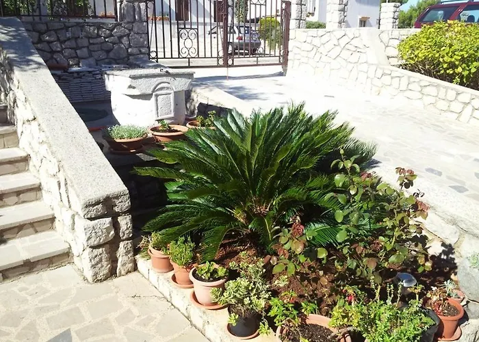 Franjo * Mali Lošinj