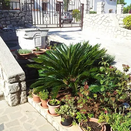 Franjo * Mali Losinj