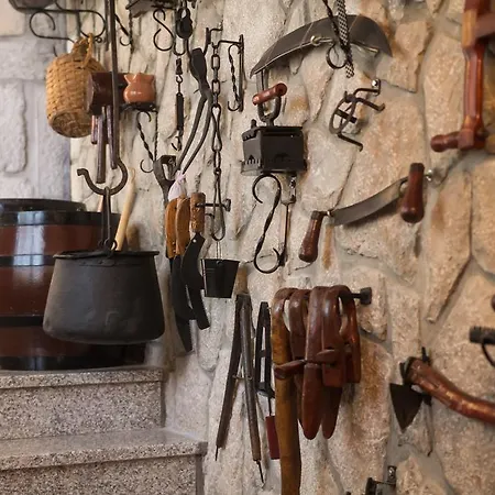 Franjo * Mali Lošinj