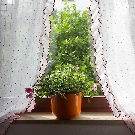 Franjo * Mali Lošinj