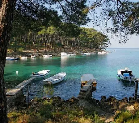 Apartment Franjo Mali Losinj