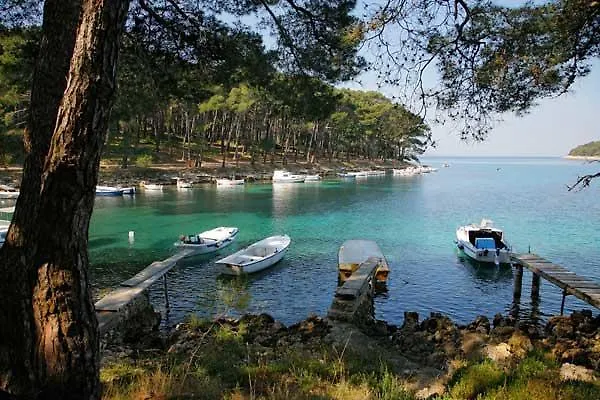 Lejlighed Franjo Mali Lošinj